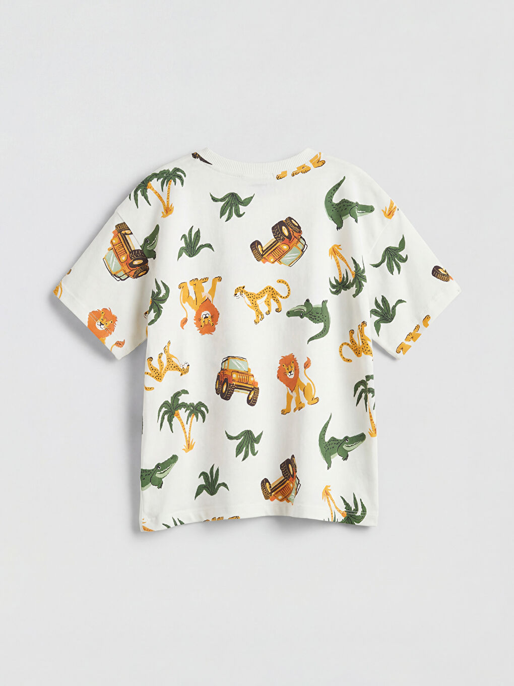 Ekru Baskılı Erkek Çocuk Tişört ve Şort 2'li Takım-5