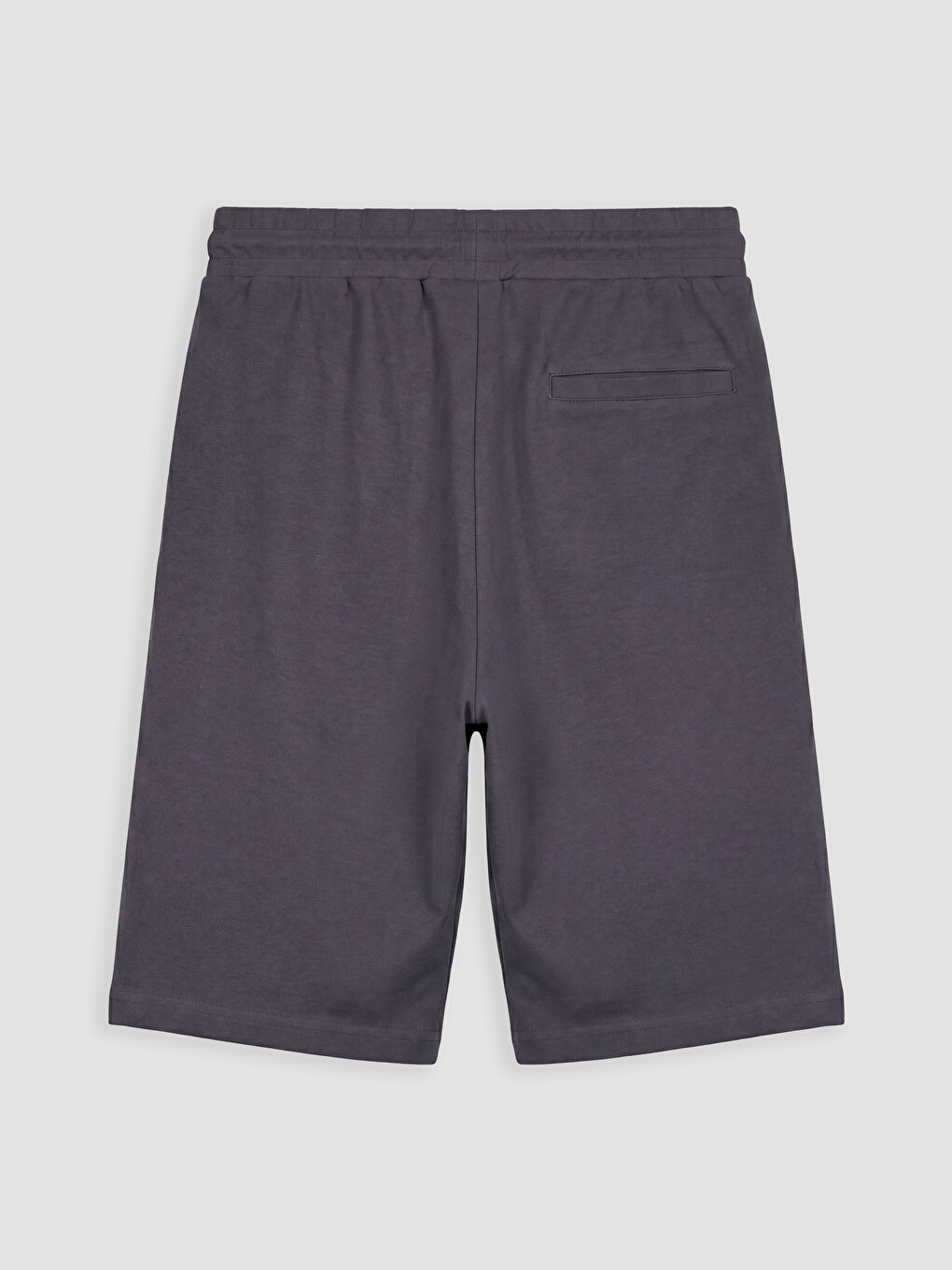 Standard Fit Interlock Fabric Men's Shorts-1