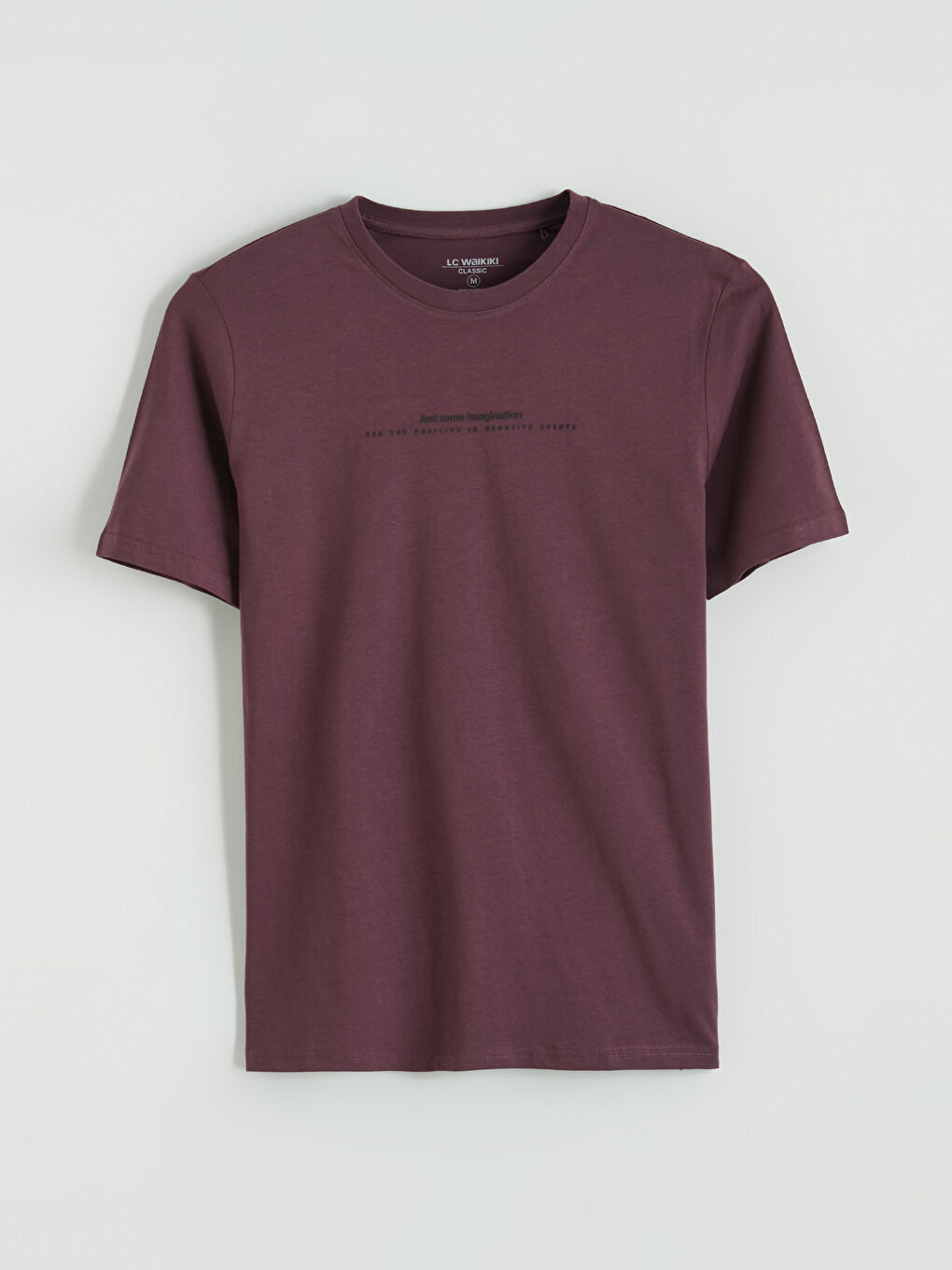 Crew Neck Text Printed Jersey Men's T-Shirt