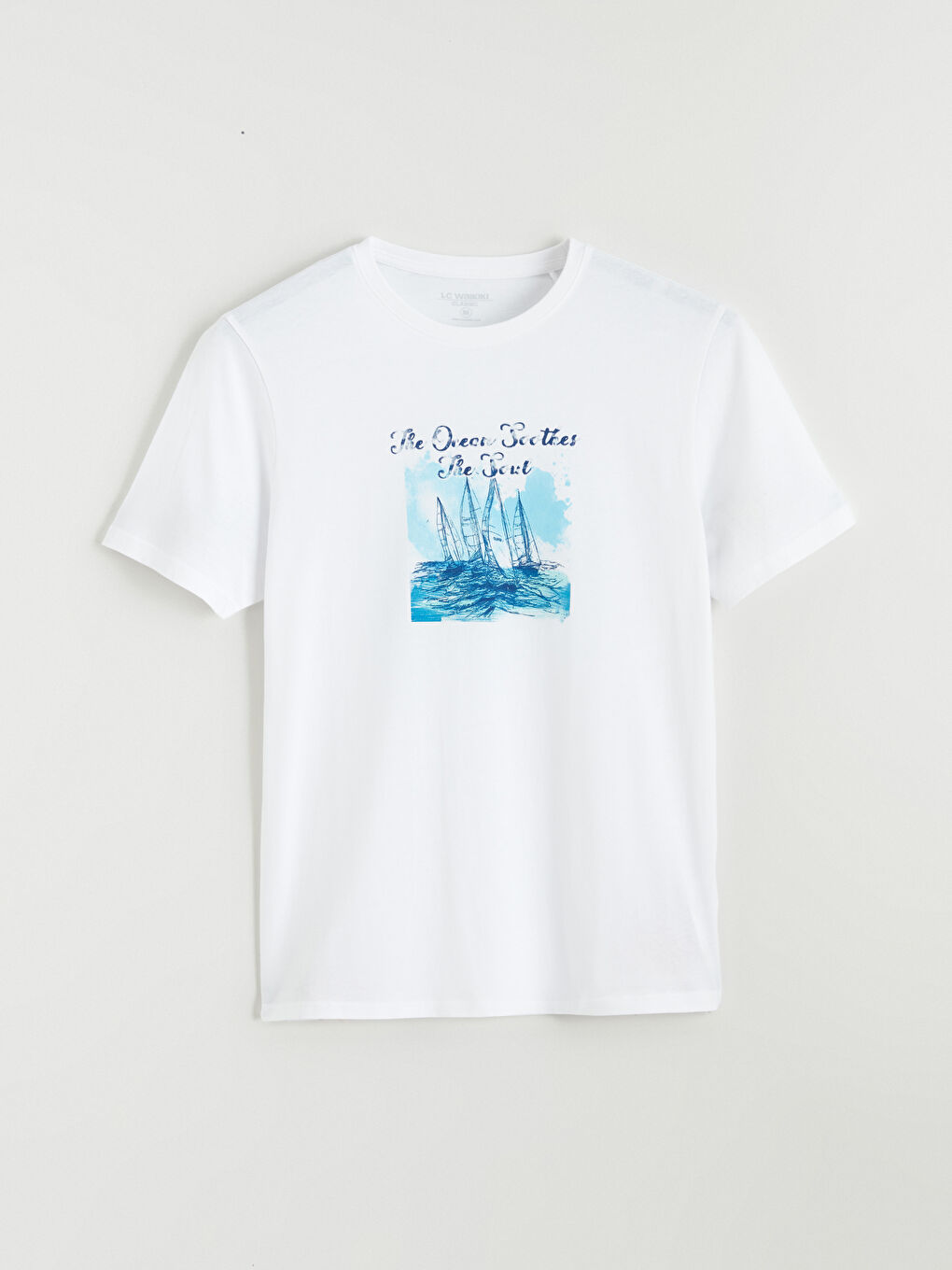 Plus Size Crew Neck Printed Cotton Men's T-Shirt-4