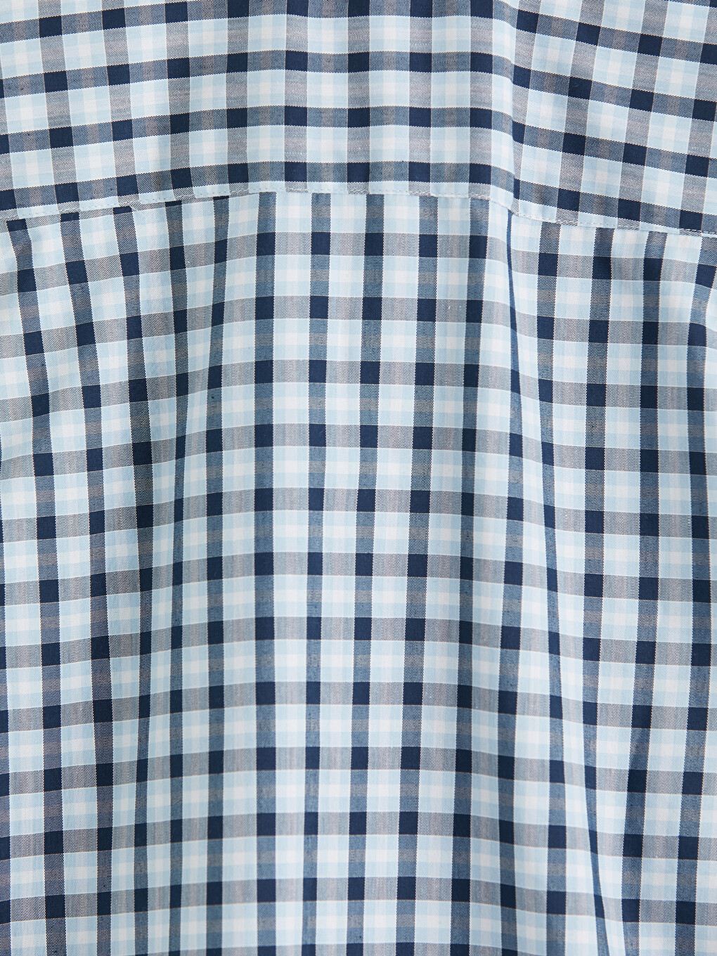 Regular Fit Plaid Oxford Men's Shirt-9