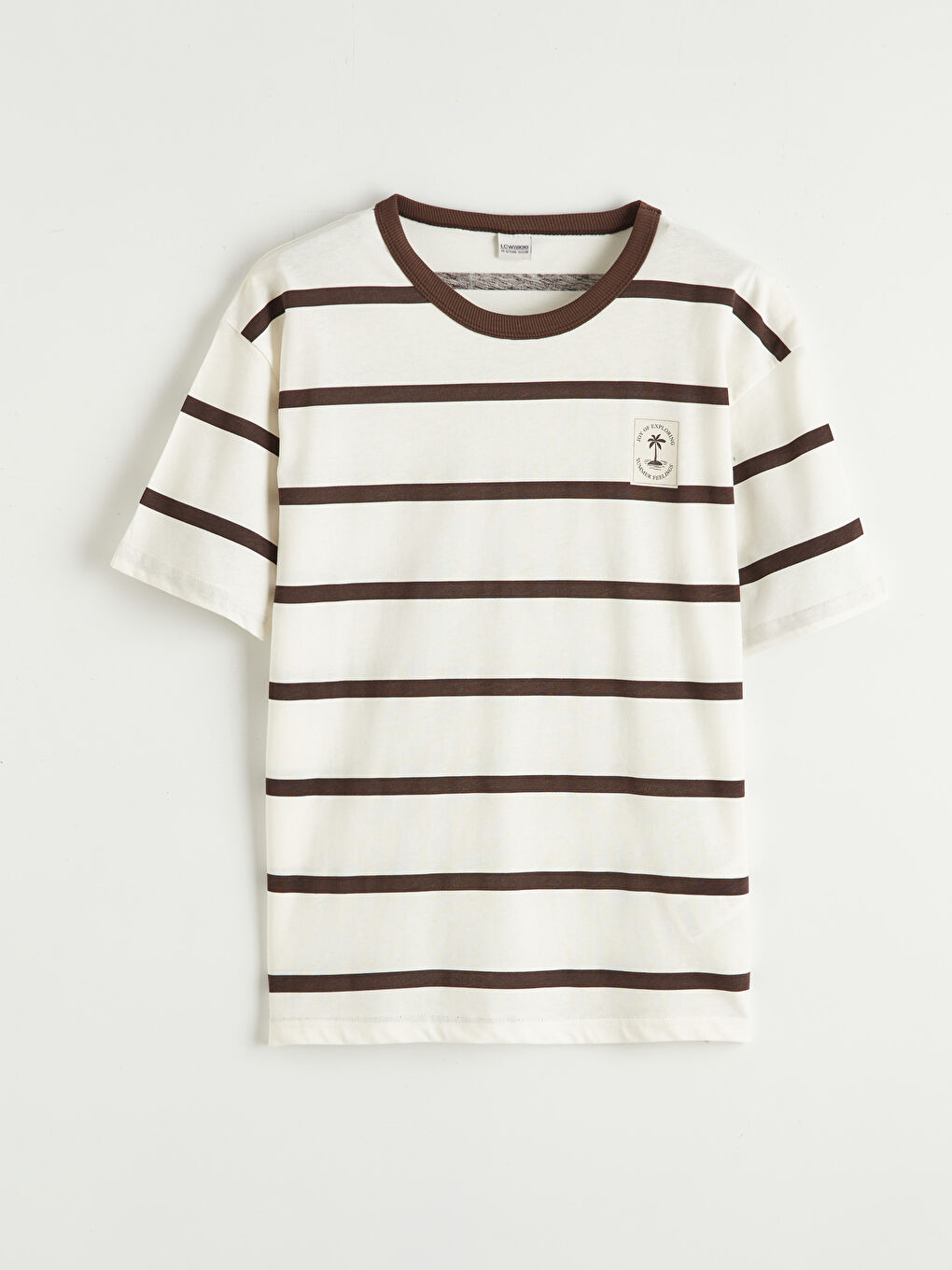 Kahverengi Çizgili Erkek Çocuk Tişört ve Şort-1