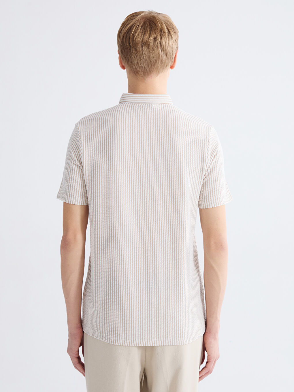 Bej Hakim Yaka Çizgili Erkek Tişört-3