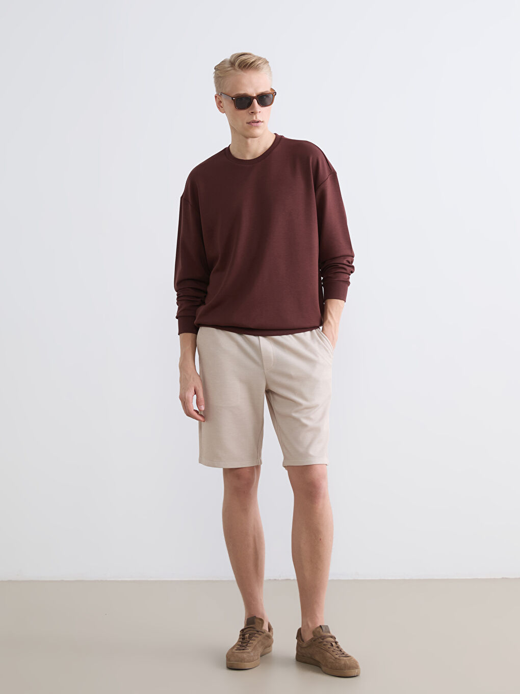 Regular  Fit Men's Shorts-2