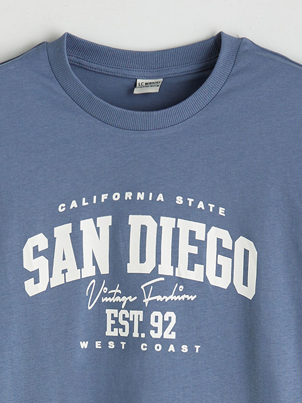 Mavi Baskılı Erkek Çocuk Tişört-2