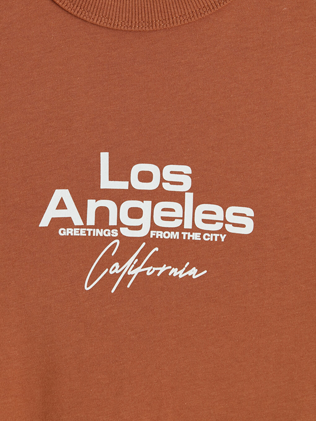 Kahverengi Los Angeles Baskılı Erkek Çocuk Tişört-3