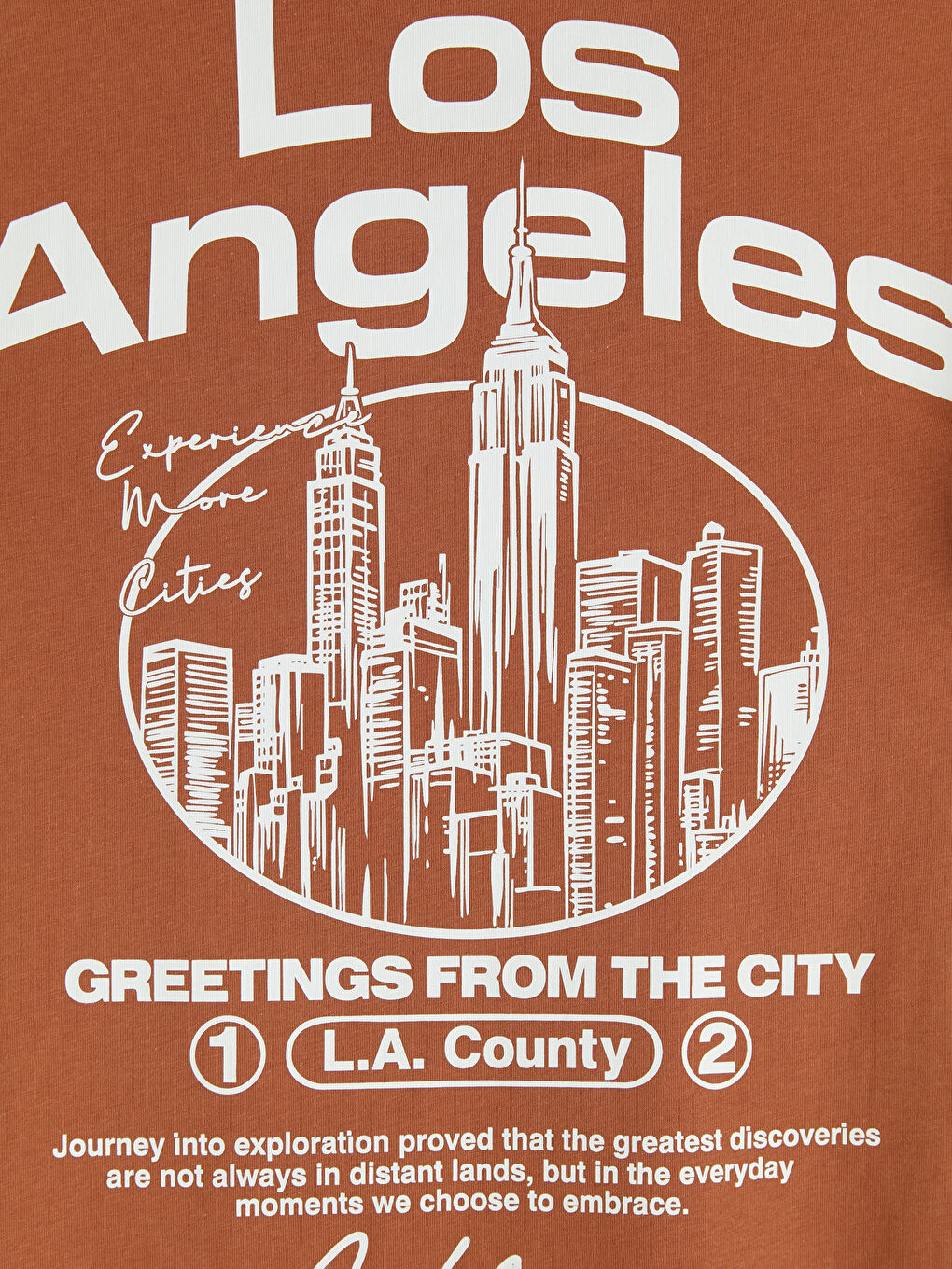 Kahverengi Los Angeles Baskılı Erkek Çocuk Tişört-4