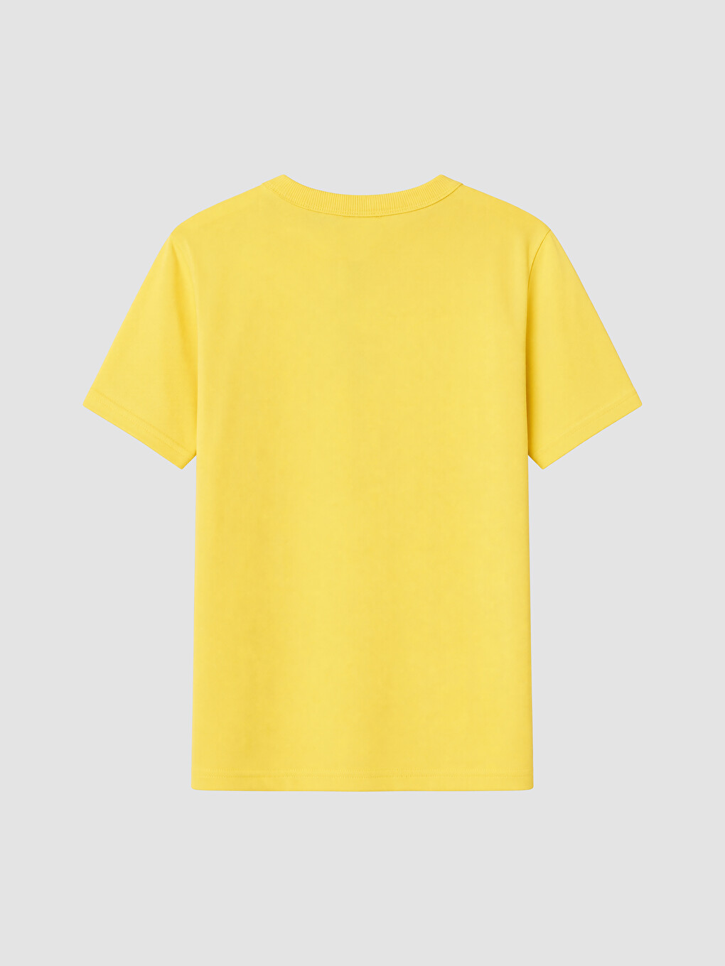 Crew Neck Printed Boys' T-shirt-2