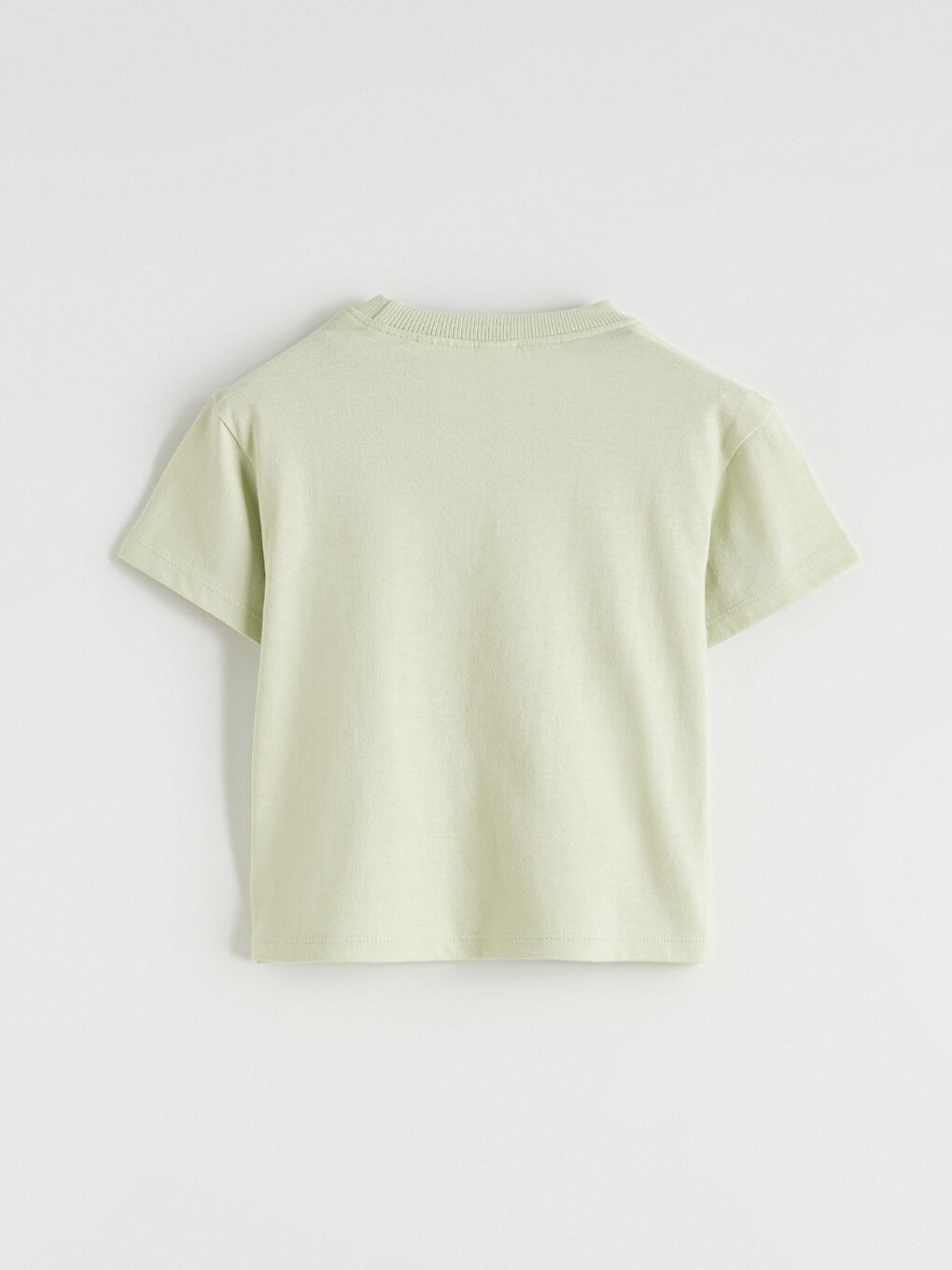 Yeşil Aslan Kral Baskılı Erkek Bebek Penye Tişört-2