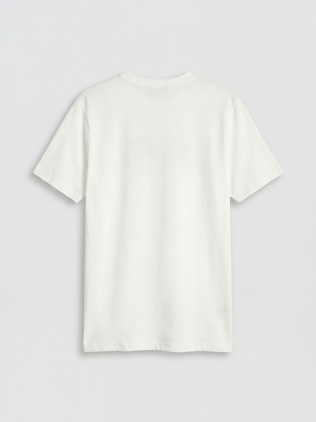 Ekru Bisiklet Yaka Baskılı Erkek Penye Tişört-1