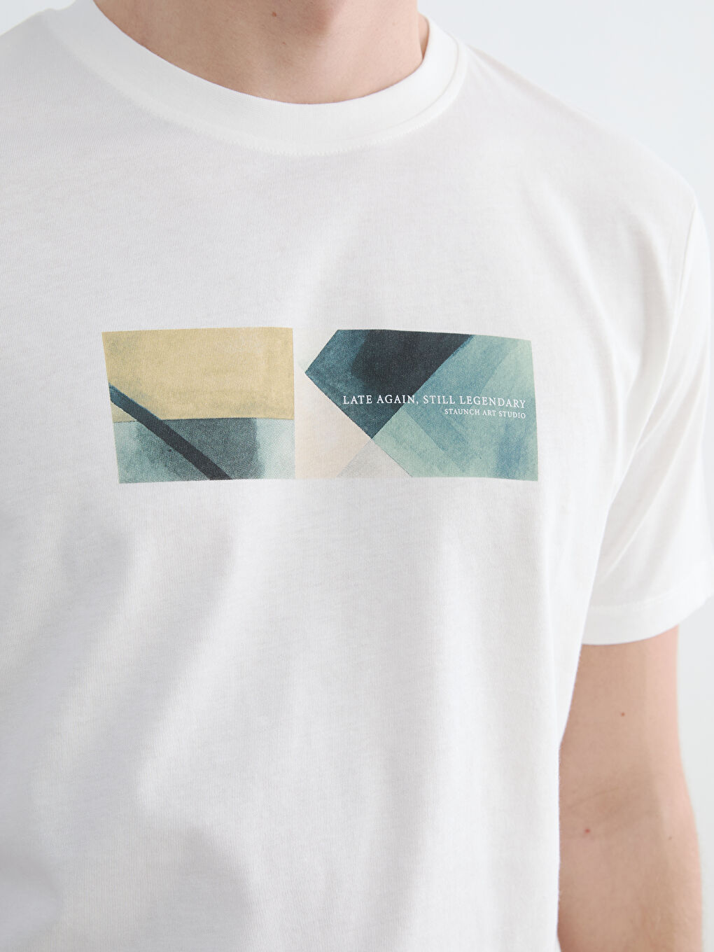 Crew Neck Printed Men's Jersey T-Shirt-2