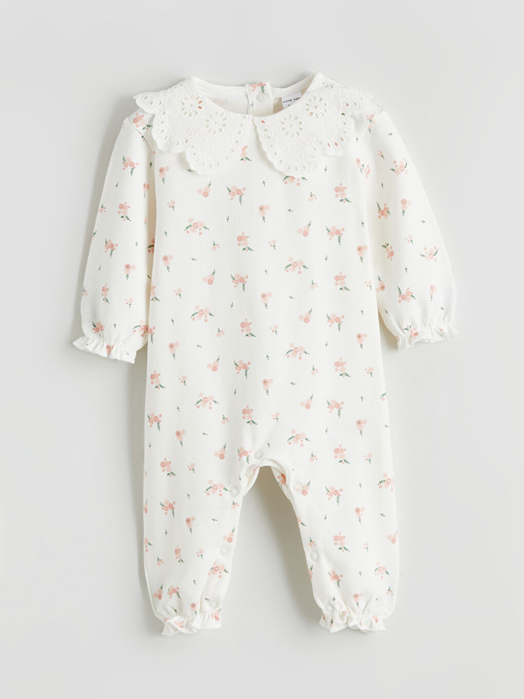 جەمپسوت بێجی كاڵ کچی ساوا