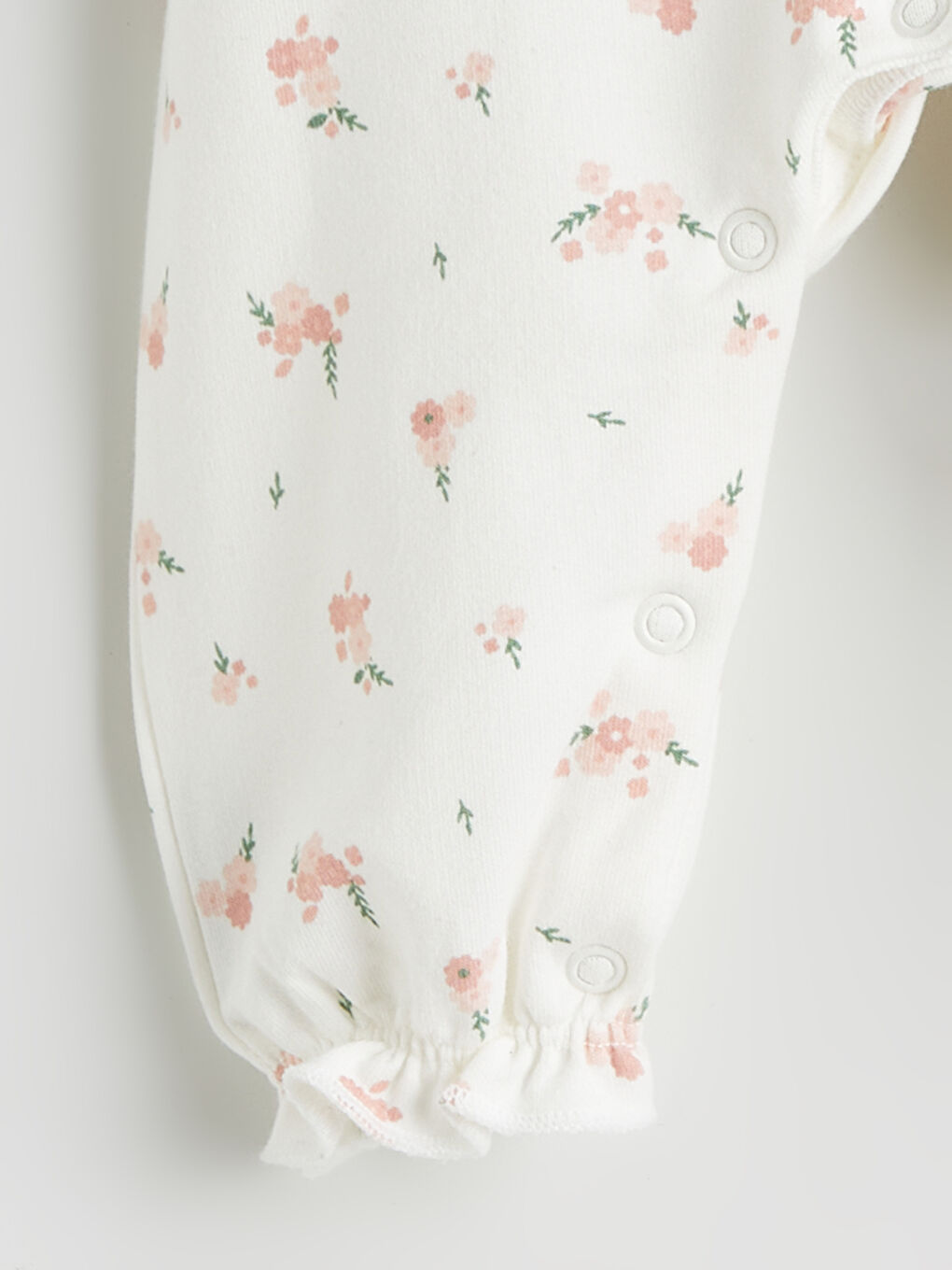 جەمپسوت بێجی كاڵ کچی ساوا-1