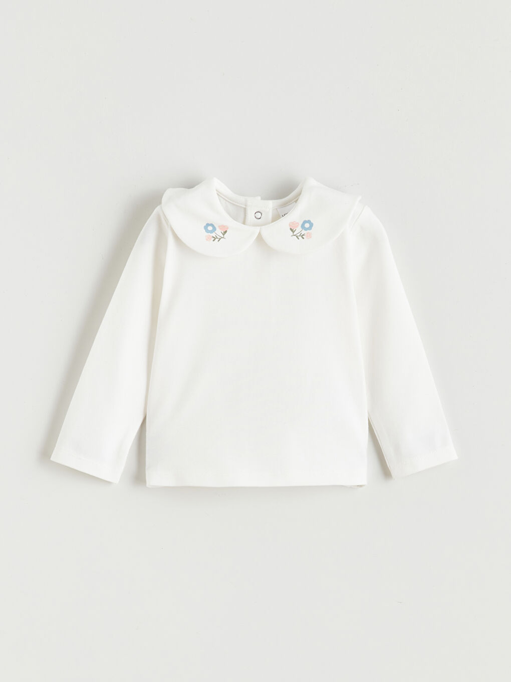 جل شین کچی ساوا-1