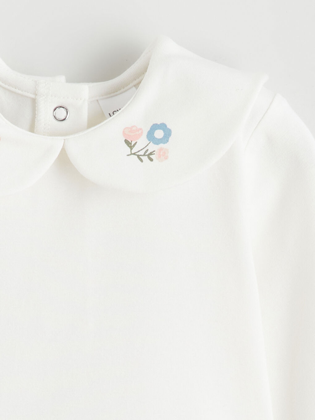 جل شین کچی ساوا-2