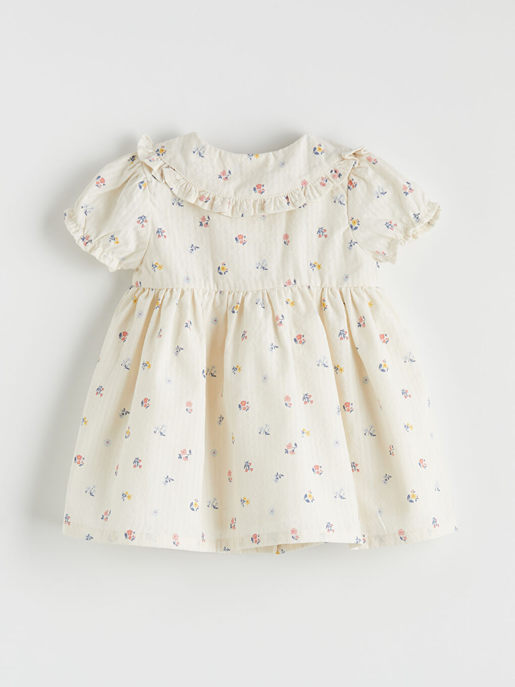 جلە کچانی ساوا بە یاخەی پیته‌ر پان و تارای جوانکراو-1