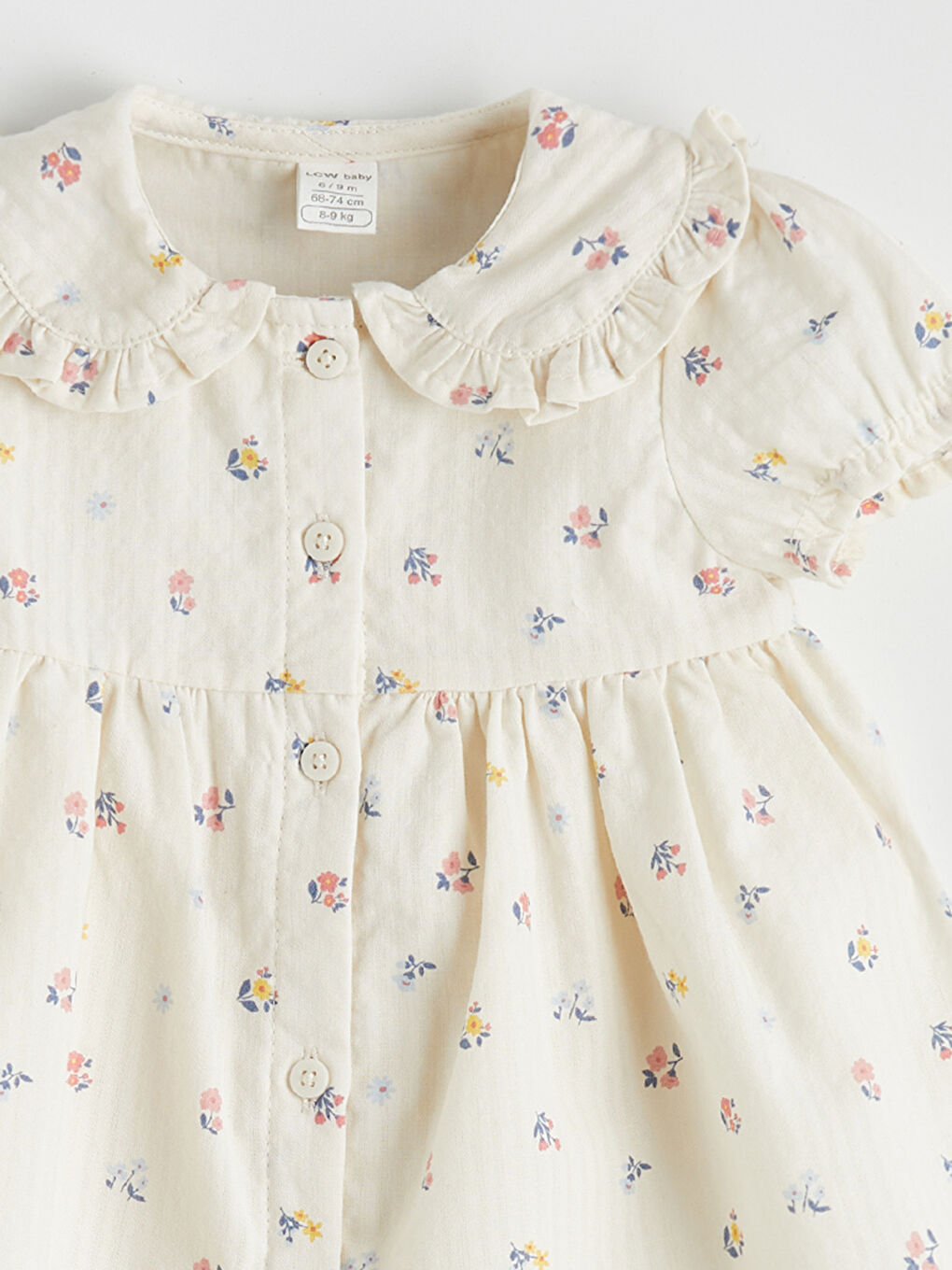 جلە کچانی ساوا بە یاخەی پیته‌ر پان و تارای جوانکراو-2