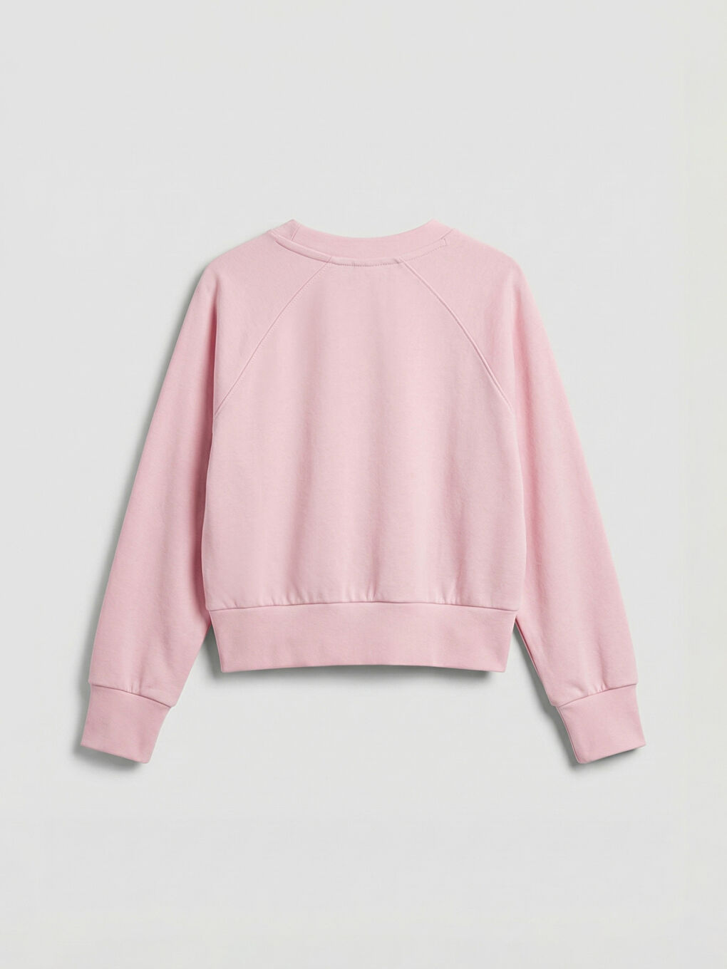 Girl PINK Sweatshirt-1