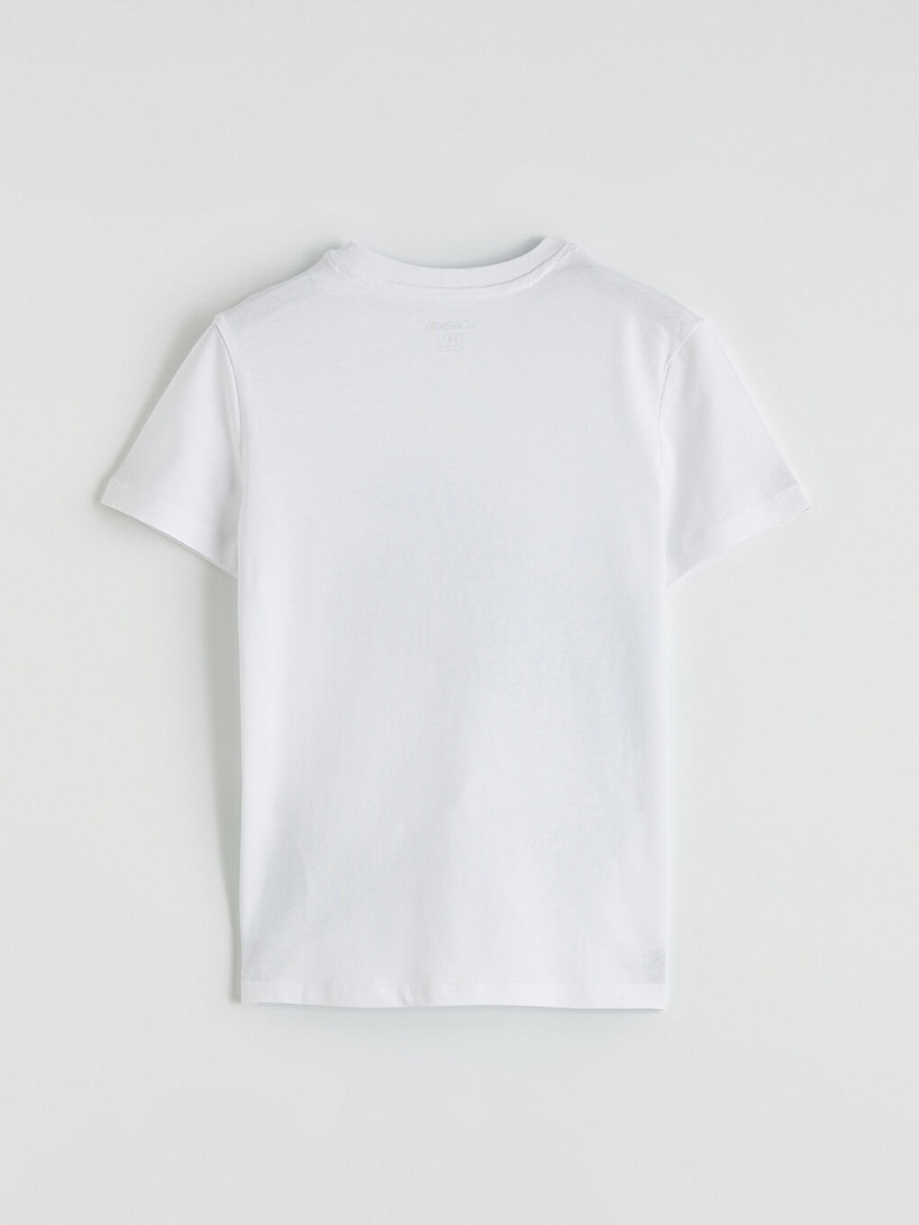 Beyaz Bisiklet Yaka Dinozor Baskılı Erkek Çocuk Tişört-2