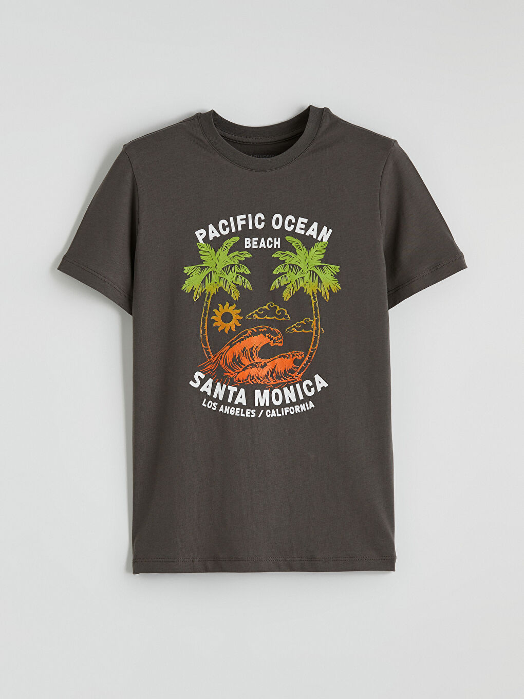 Haki Erkek Çocuk Santa Monica Baskılı Tişört