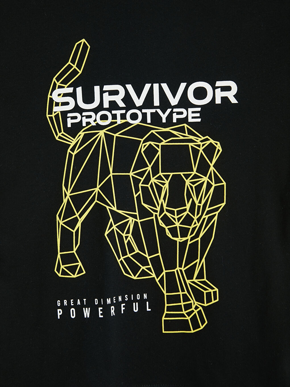 Siyah Baskılı Erkek Çocuk Tişört-2