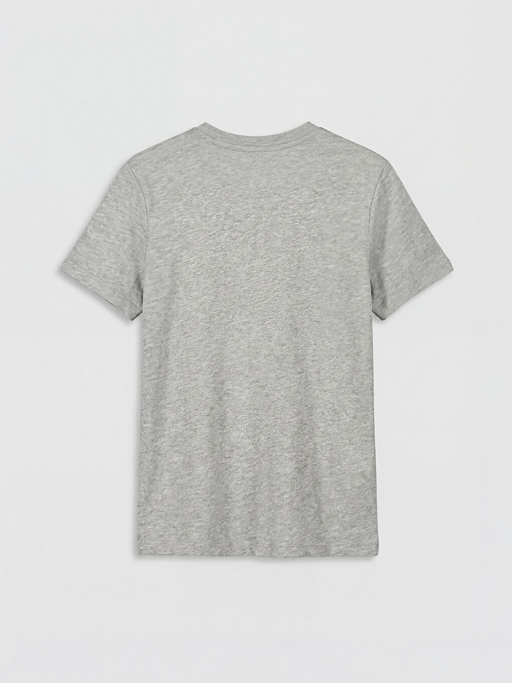 Gri Bisiklet Yaka Kaplan Baskılı Erkek Çocuk Tişört-1