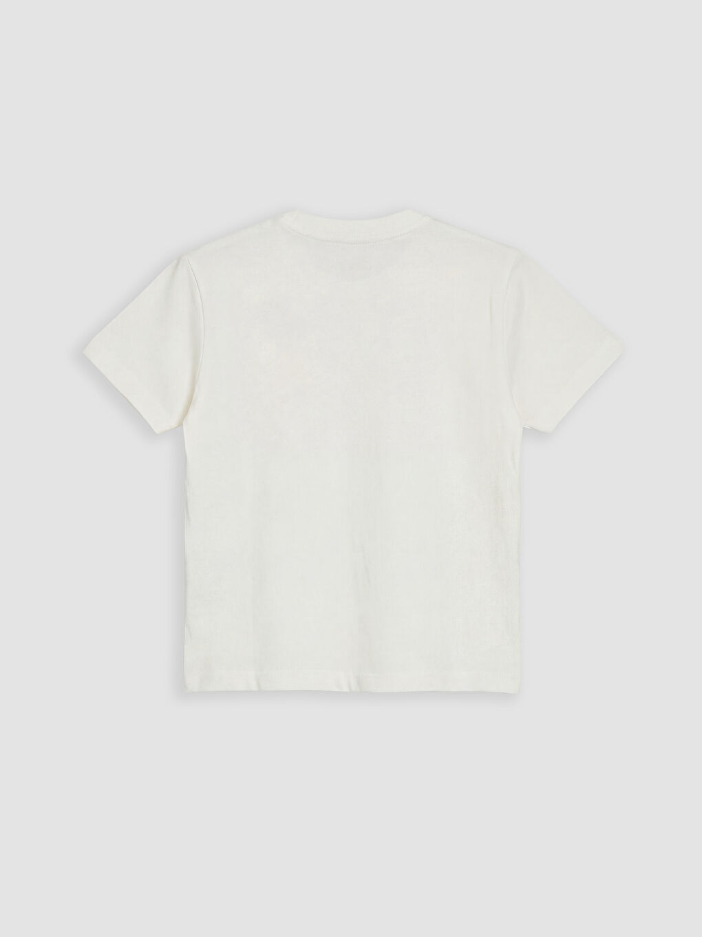 Ekru Dinozor Baskılı Erkek Çocuk Tişört-1