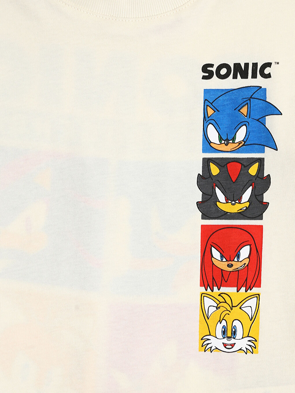 Crew Neck Sonic Printed Boys' T-Shirt-2