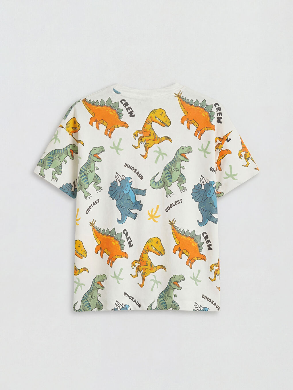 Dinosaur Print Boys' T-Shirt and Shorts-2