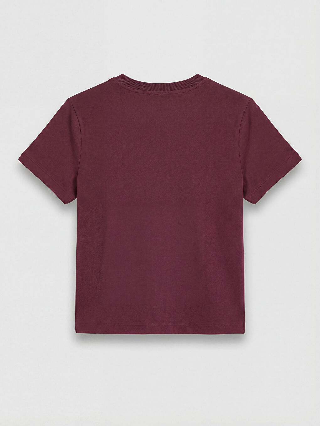 Crew Neck Embroidered Women's T-Shirt-1