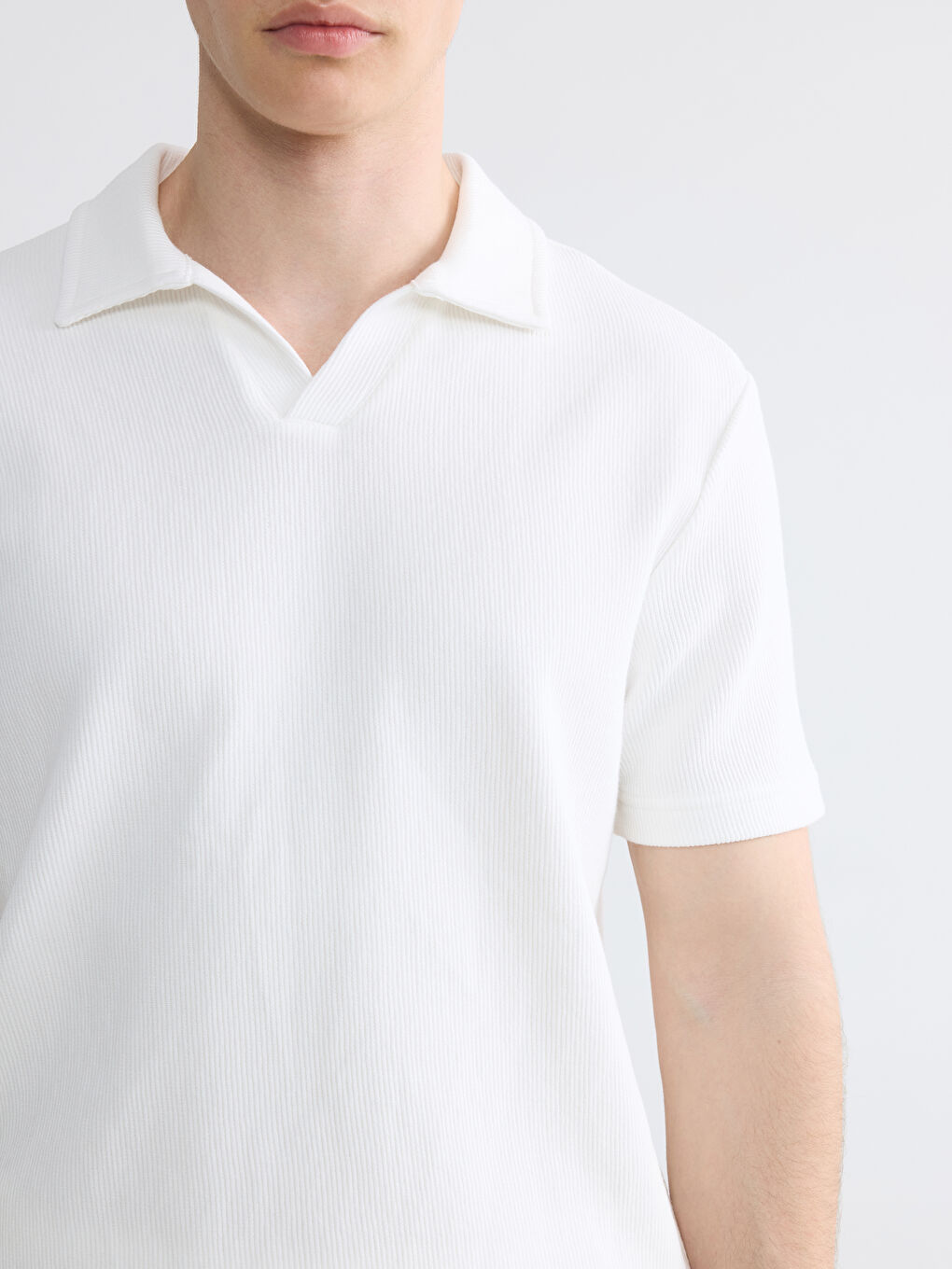 პოლო საყელო მამაკაცის მაისური-2