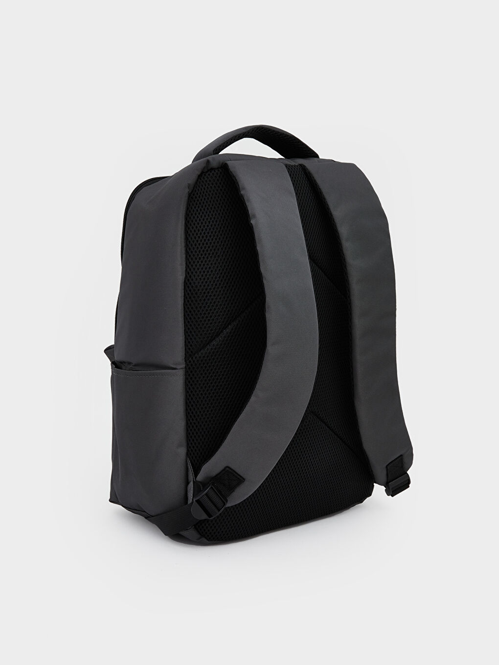 جانتای پشتەوە خۆڵه‌مێشی پیاو-1