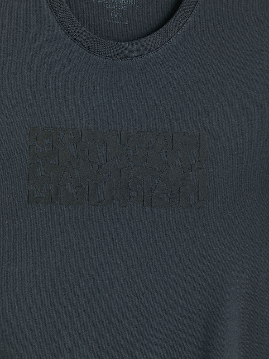 Mavi Standart Fit Bisiklet Yaka Baskılı Erkek Tişört-2