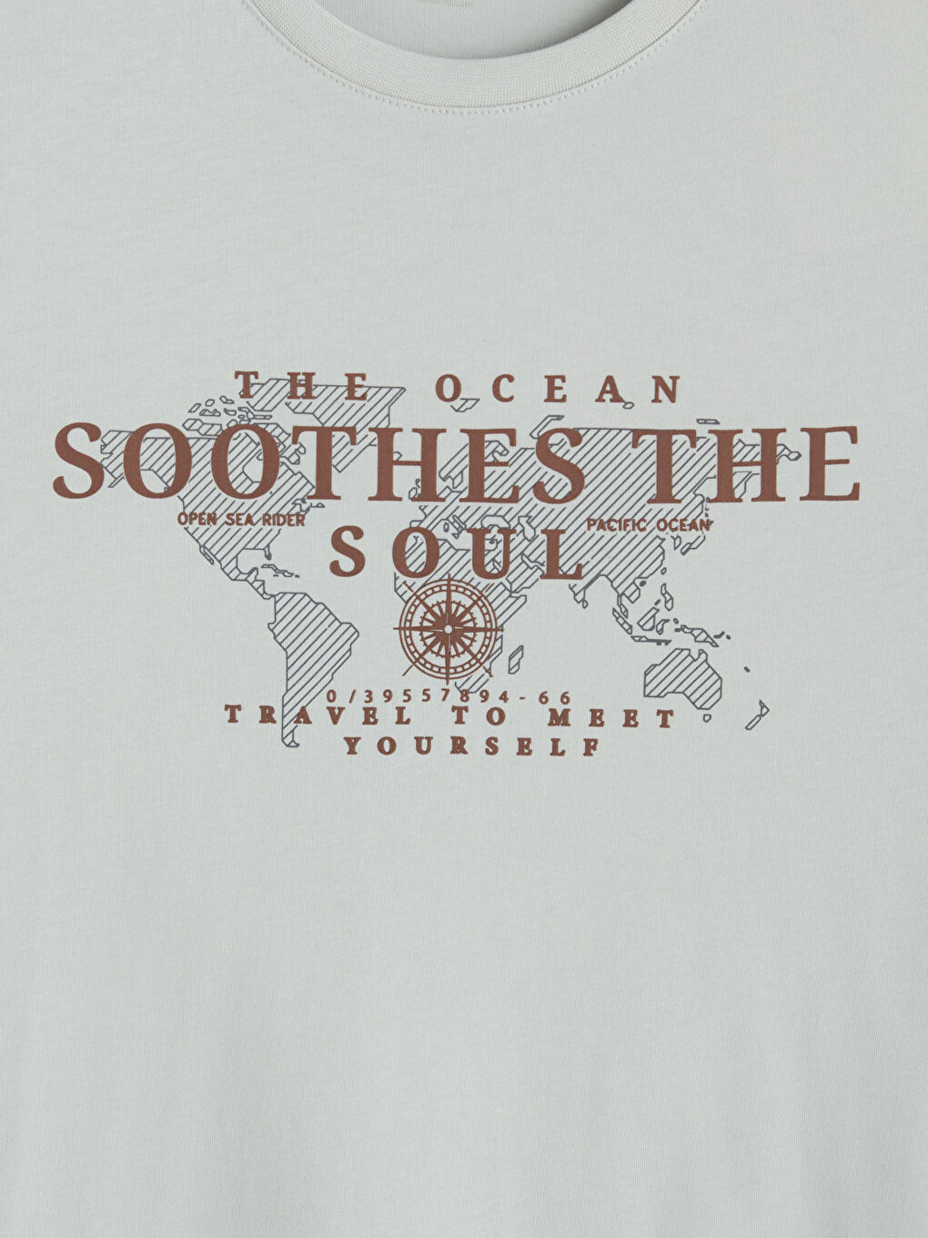 Gri Bisiklet Yaka Baskılı Penye Erkek Tişört-2