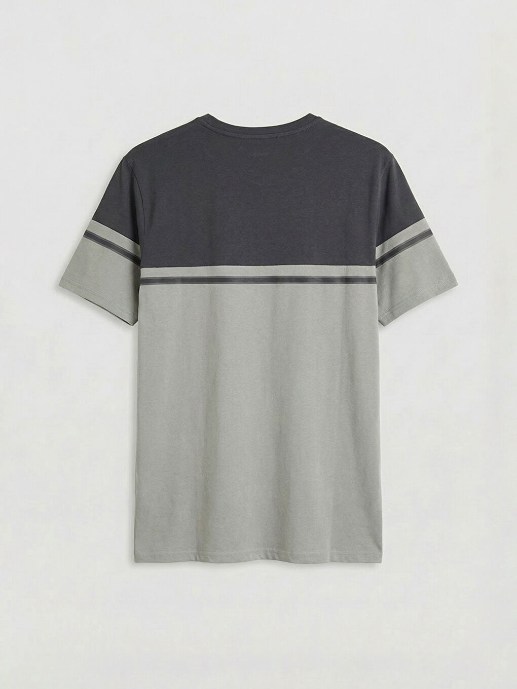  Bisiklet Yaka Renk Bloklu  Erkek Tişört-5