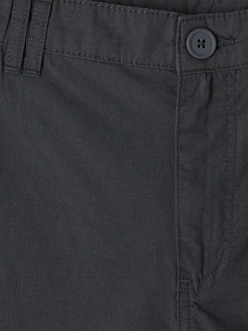 Antrasit Standart Kalıp Erkek Kargo Şort-3