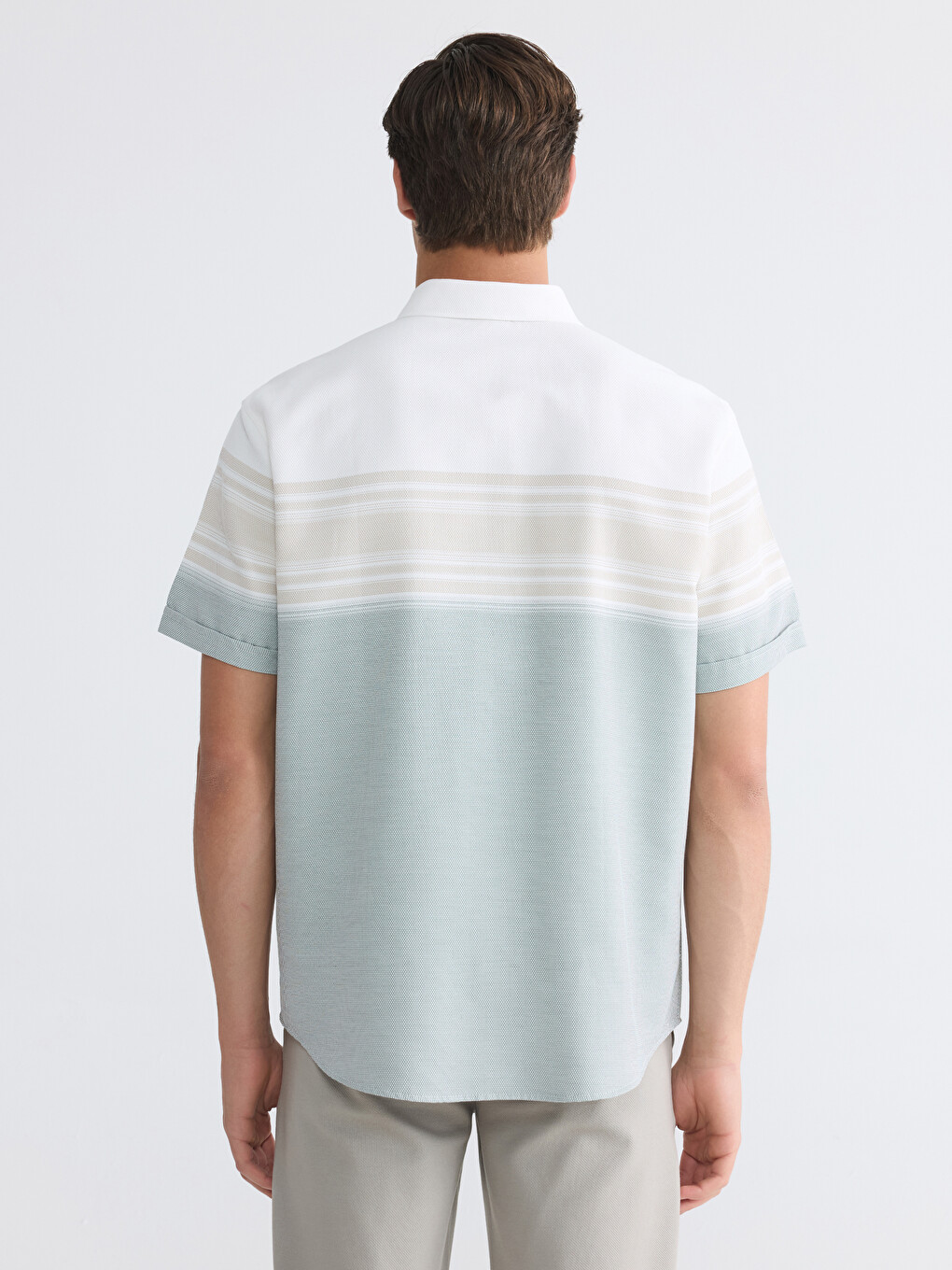 Regular Fit Dobby Men's Shirt-3
