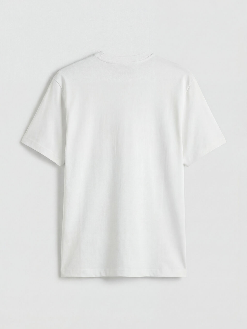 Crew Neck Oversize Printed Men's T-Shirt-5