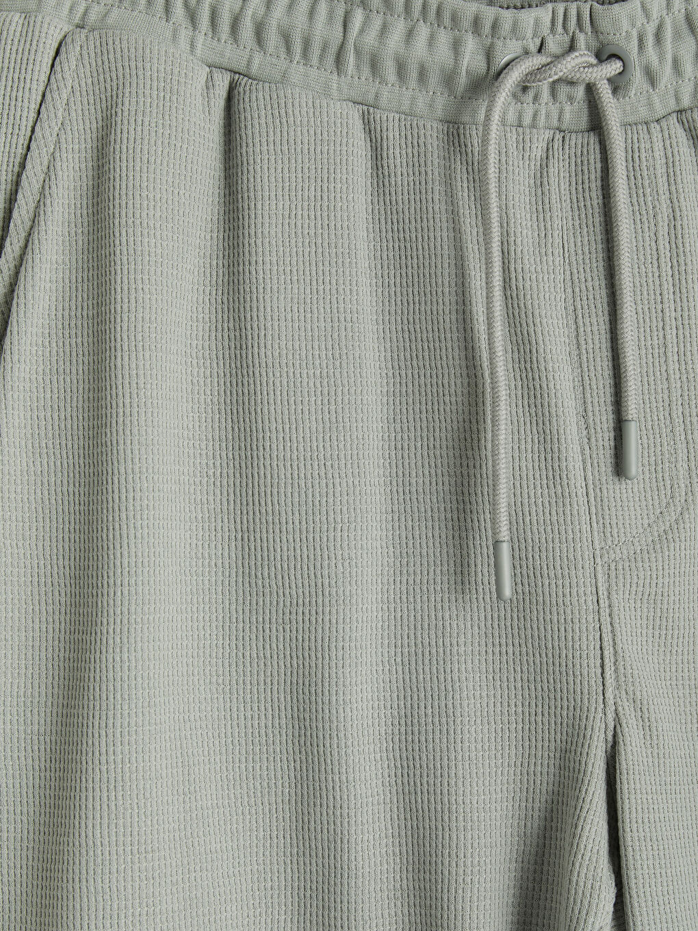 Gri Standart Kalıp Erkek Şort-2