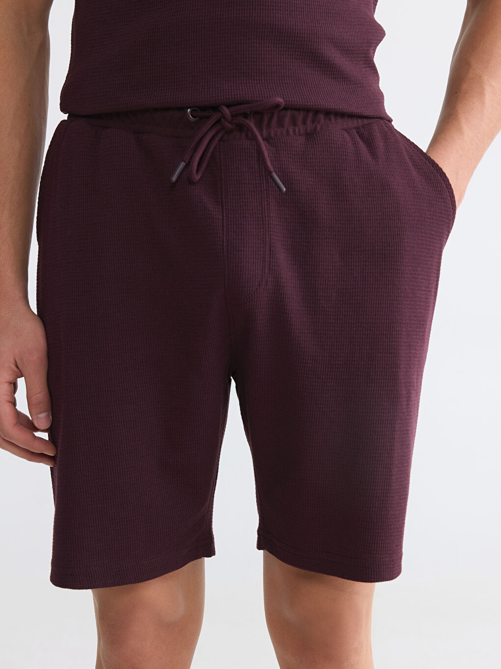 Mürdüm Regular Fit Erkek Şort-2