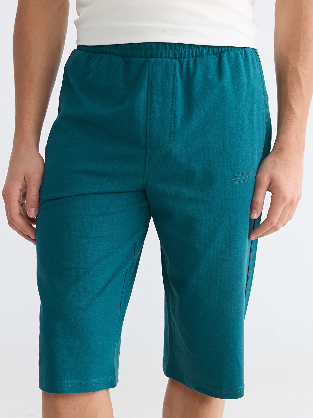 Petrol Regular Fit Erkek Şort-2