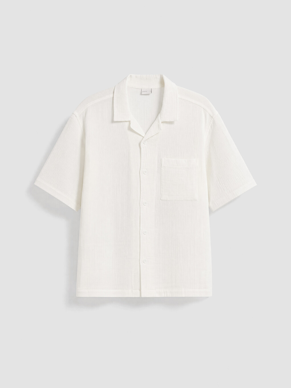 Boy White Shirt