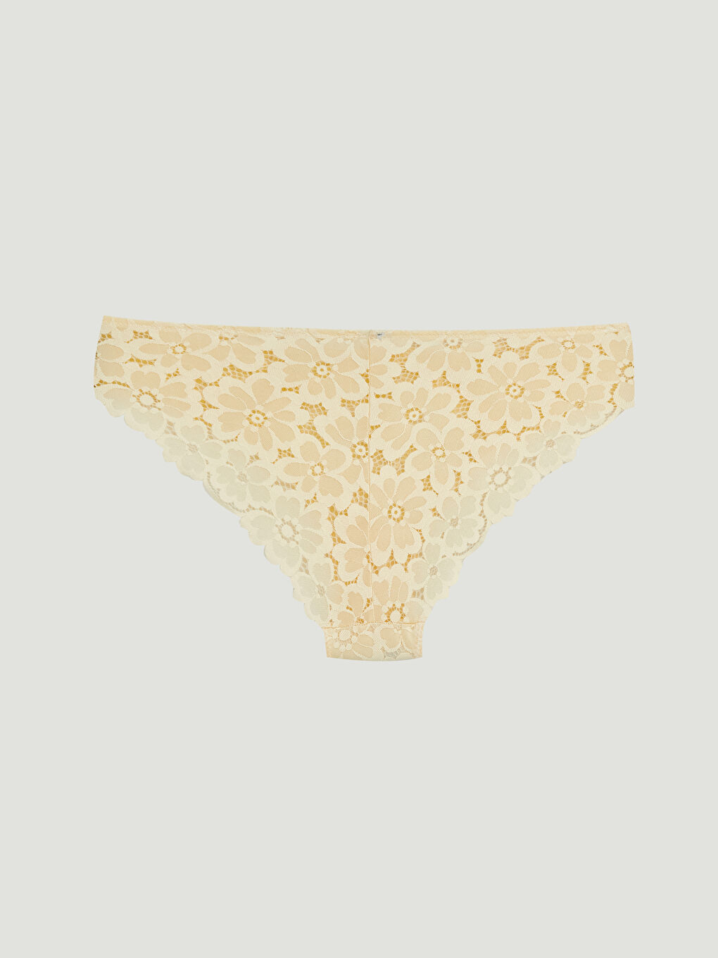 Bej Çiçekli Dantelli Bikini Külot-1