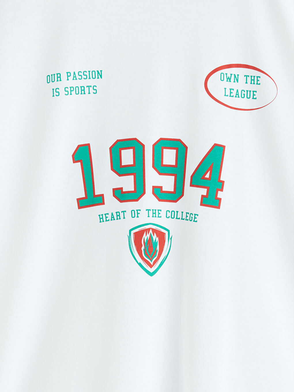 Plus Size Crew Neck Printed Cotton Men's T-Shirt-5