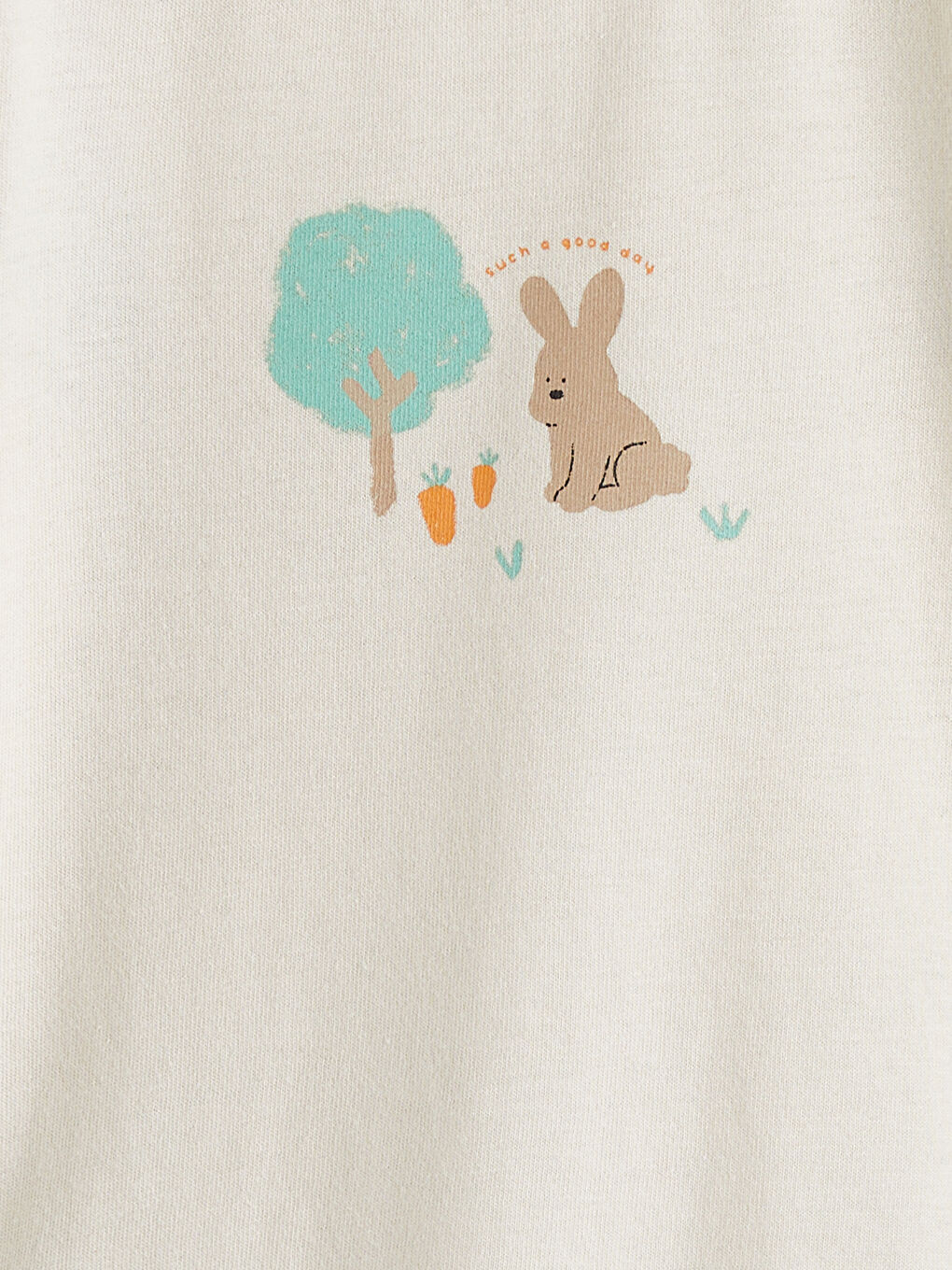 Printed Baby Boys' Snap Bodysuit 2 Pack-6