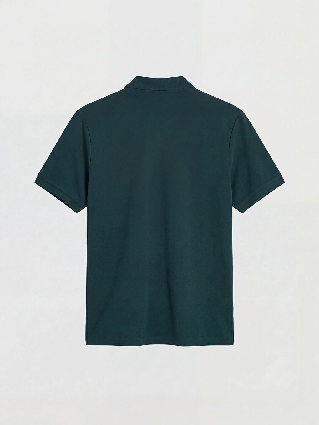 Petrol Polo Yaka Pike Erkek Tişört-1