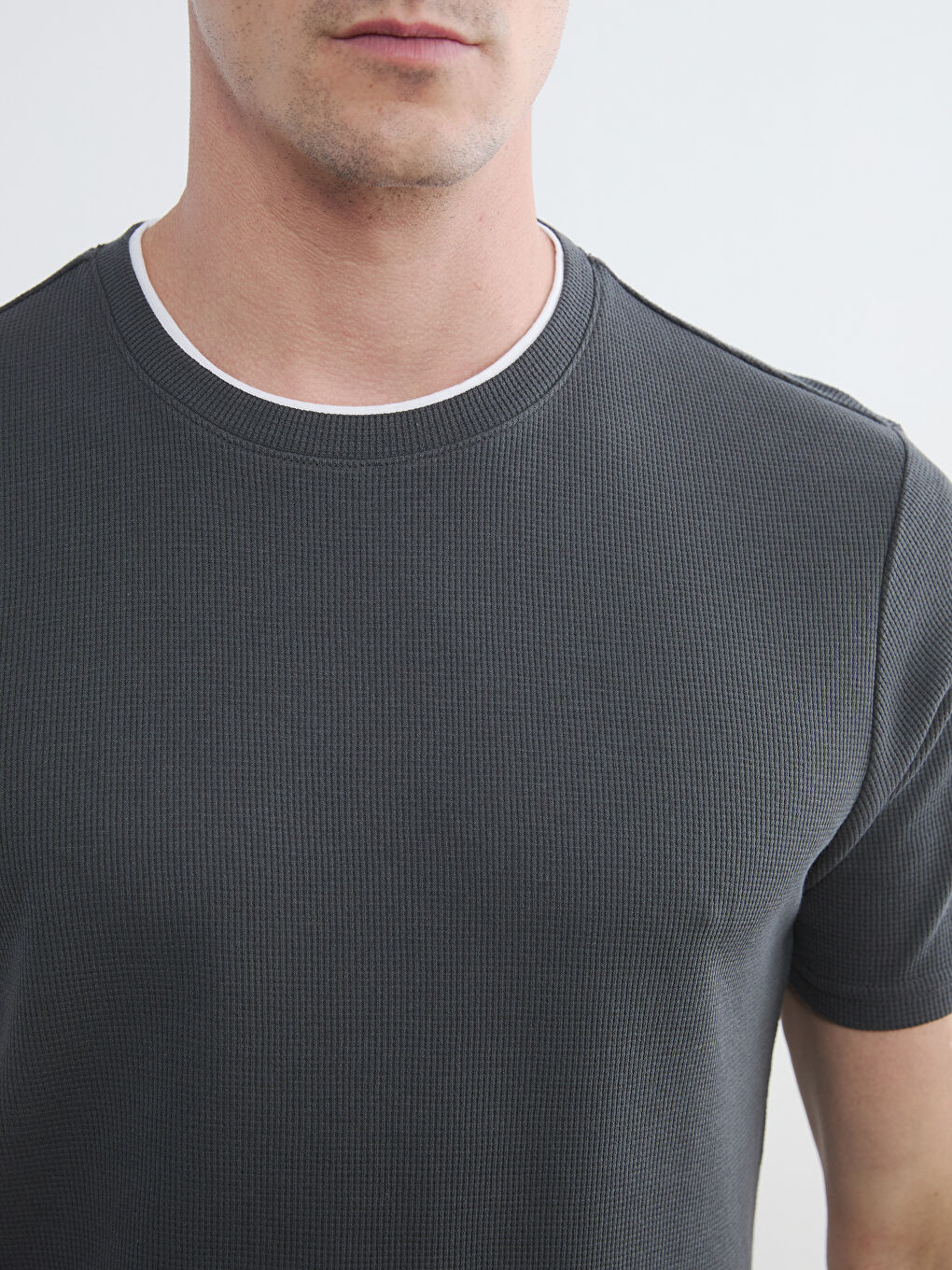 Antrasit Bisiklet Yaka Erkek Tişört-2