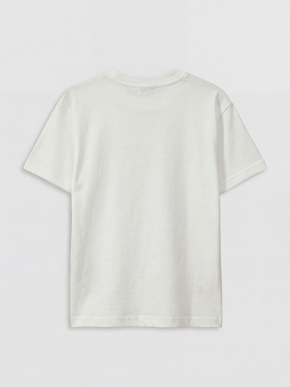 Crew Neck Printed Boys' T-Shirt-1