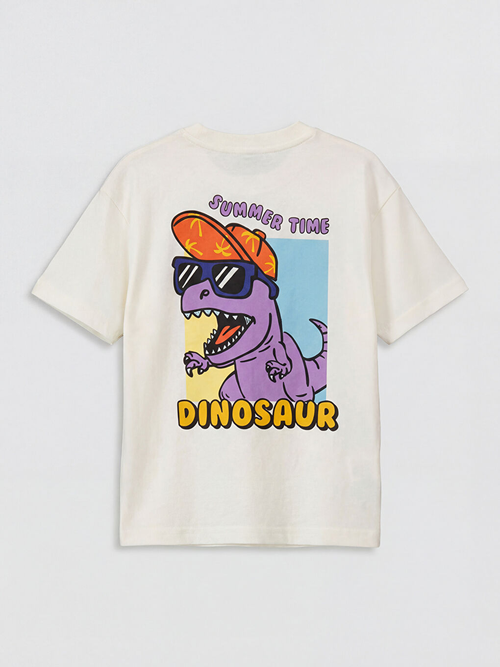 Crew Neck Printed Boys' T-Shirt-2