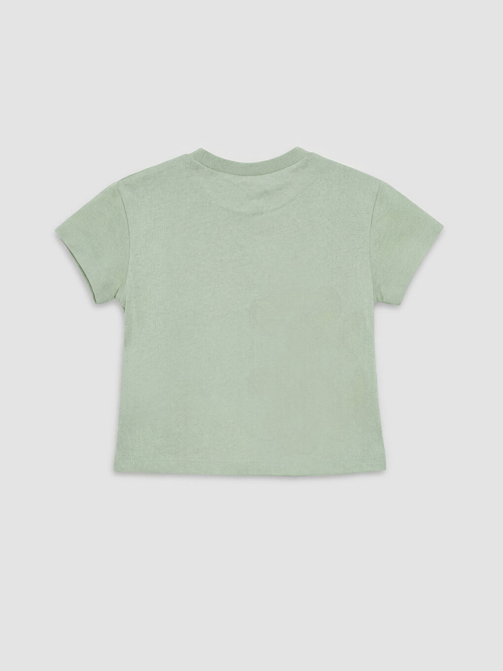 Yeşil Aslan Kral Baskılı Erkek Bebek Tişört ve Şort Takım-5